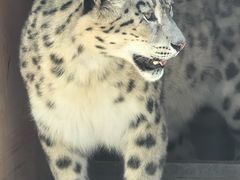 -青藏高原野生动物园