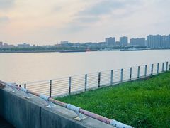 -上海山野camping·户外天幕烧烤·团建拓展营地