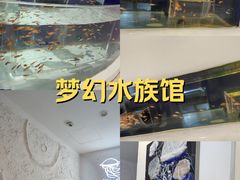 -萌宠奇缘(荣鼎店)