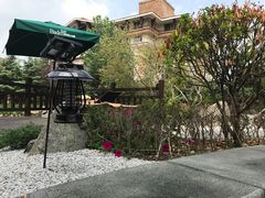 -芭东小镇温泉