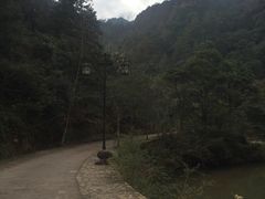 -龙湾潭国家森林公园