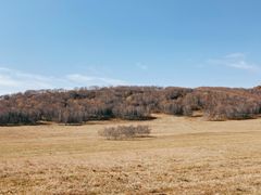 -塞罕坝国家级自然保护区