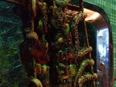 iphone_upload_pic-虎卫烤肉(东关南街店)