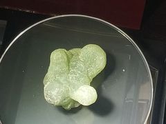 -惠州科技馆