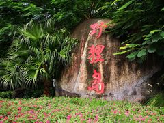 -野狸岛