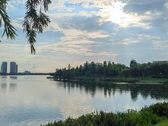 -飞来湖湿地公园