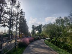 -前小桔亲子创意农场·草莓采摘·露营烧烤