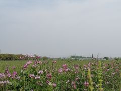 -嘉北郊野公园