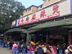 -小向麻辣烫(天街总店)