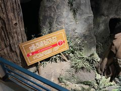 -陕西自然博物馆