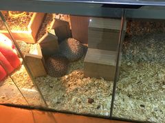 -同至人购物中心(朝阳街店)