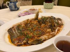 -沙龙酒家