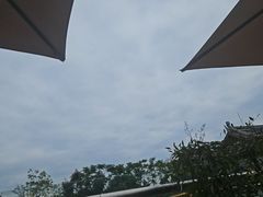 -花溪公园