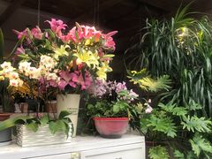 -春暖花开(西溪店)