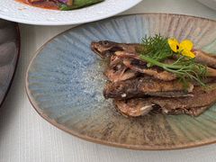 -龟兹KUCINA·新疆菜(前滩L+PLAZA店)