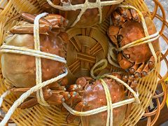 -蟹天蟹地农家菜·阳澄湖大闸蟹(浅水湾店)