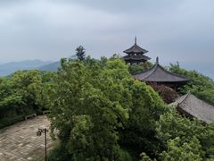 -杭州半山国家森林公园