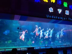 -泉城欧乐堡海洋极地世界