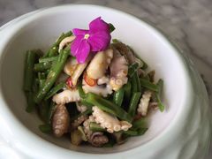 烧椒八爪鱼-雀蓝川菜(奥体广场店)