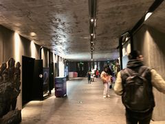 放映厅-万达影城(银兴菲林店)