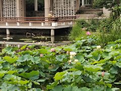 -国家植物园南园