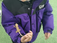 -龍歌自助小火锅(李沧顺和汇店)