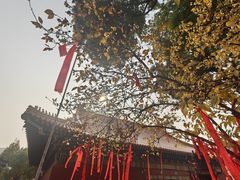 -宝通禅寺