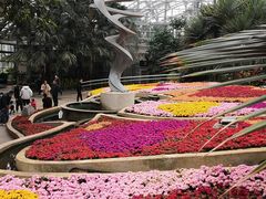 -南山植物园