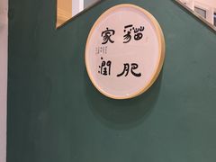 -飞行喵MR PILOT|猫舍·猫咖(静安大融城店)