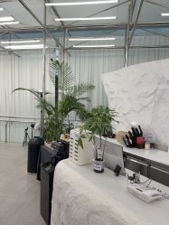 -BOF HAIR BY HONTO