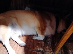 -阿木舂记·特色小吃(平江路店)