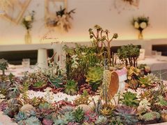 -春树下·树屋花房西餐厅(罍街AS1980店)