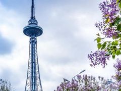 -龙塔