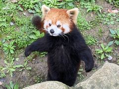 -上海野生动物园