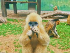 -大连森林动物园