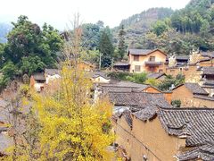 -杨家堂村