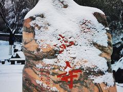 -少华山国家森林公园