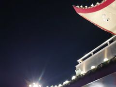 -重庆两江夜游-金碧系列