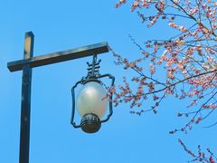 -苏州古运河游船(新市桥码头)