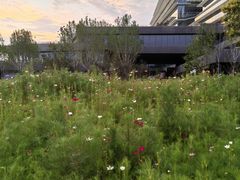 -北沙滩(地铁站)