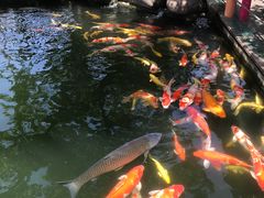 -湖鲜楼