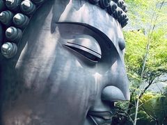 -杭州植物园
