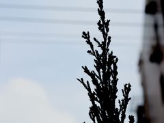 -研途咖啡馆(健康路店)