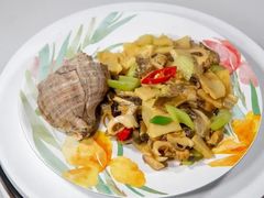 海螺-小叶大馅饺子城