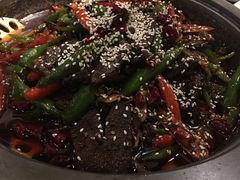 -猫头婴小酒馆FUN OWL(1912店)
