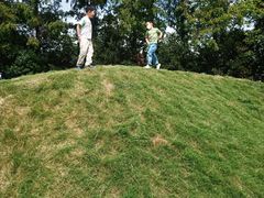 -前小桔亲子创意农场·草莓采摘·露营烧烤