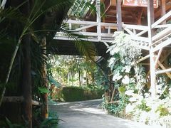 -海南槟榔谷黎苗文化旅游区