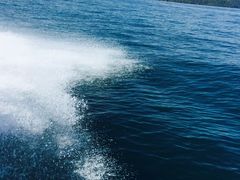 -东姑阿都拉曼海洋公园