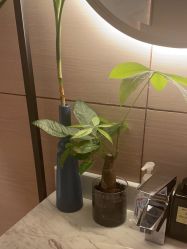 -苑苑vbeauty科技美容SPA
