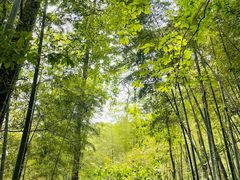 -敬亭山风景名胜区